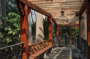 Guangdong Tree Park