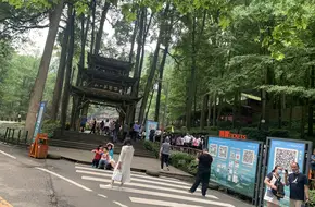 Sightseeing Bus Boarding Area