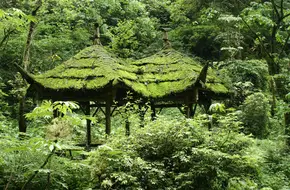 Shangqing Palace