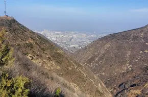 Sanyuan Dong