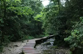 Baizhang Bridge