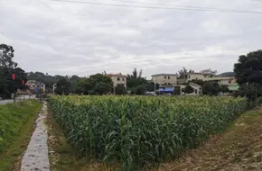 Yixiu Farm