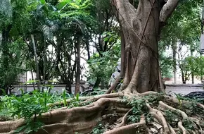 Huangpu Park