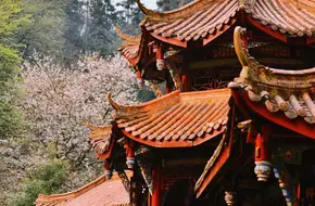 Yuqing Palace Of Qingcheng Mountain