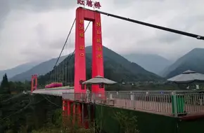 Hongkou-Longxi National Nature Reserve Rare Animals And Plants Exhibition Hall