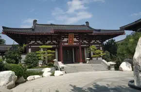 Lotus Garden