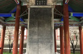 Tang Dynasty New Stele Forest Museum