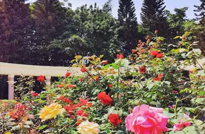 Tianhe Park