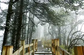 Xiling Forest Park