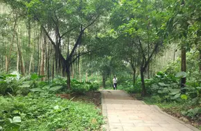 Jingxi Ecological Park