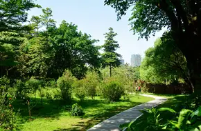 The Yunxi Ecological Park