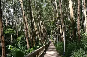 Jingxi Ecological Park