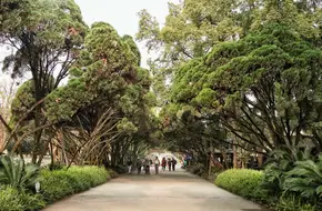 Li Dui Park