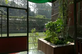 Morning Glory Valley
