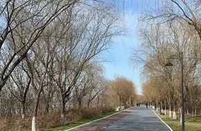 Chenguang Branch Of The Culture Center