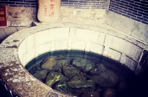 Hot Spring Ancient Source