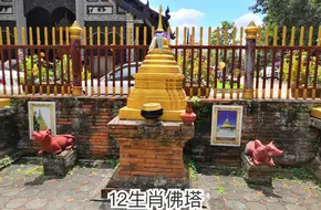 Zhen'Nan Forest