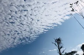 Morning Glory Valley
