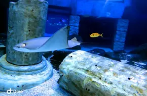 Grandview Polar Ocean World