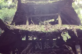 Qingcheng Mountain-Natural Pavilion