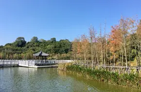 Lihu Lake