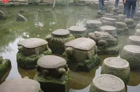 Zhenjiang Temple
