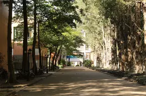 Guangdong University Of Foreign Studies