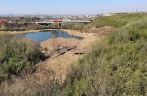 Phoenix Pool Eco-Valley
