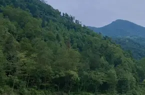 Flying Snow Resort