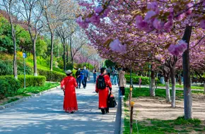 Qinglong Temple Site Museum