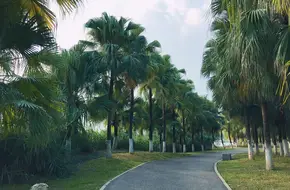 Lihu Lake