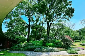 The Yunxi Ecological Park