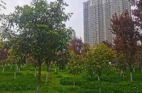 Sui And Tang Dynasties Baqiao Site