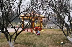 Luogang Children'S Park