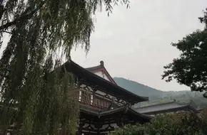 Lotus View Pavilion