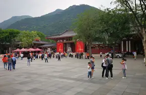 Muhua Shuiqing
