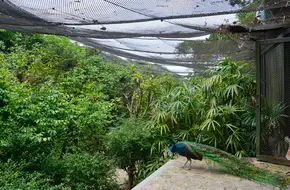 Mingchun Valley
