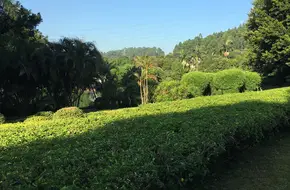 Guangzhou Laughter Paradise