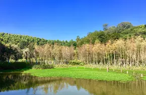 Lihu Lake
