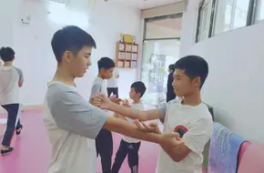 Renyi Wing Chun Kung Fu Academy (Zengcheng Xintan Branch)