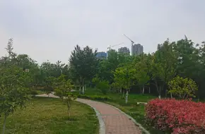 Sui And Tang Dynasties Baqiao Site