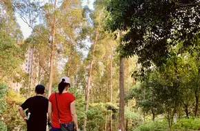 Shankendeng Park