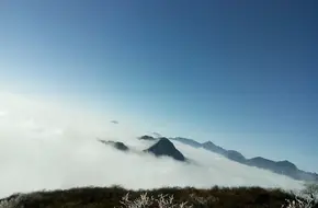 Xiling Forest Park