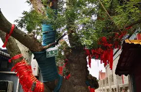 Yue Lao Temple