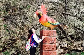 Lishan Bird Language Forest