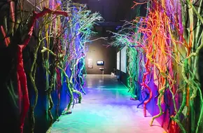 53 Art Museum