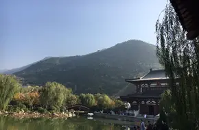 Lotus Viewing Platform