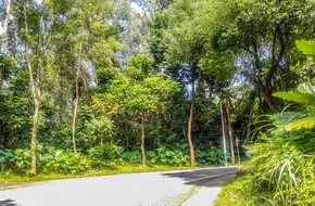 Huolu Mountain Forest Park