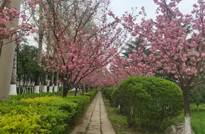 Binhe Ecological Park