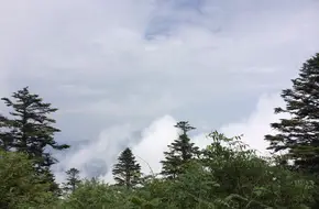 Golden Monkey Peak